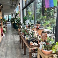 SomSak Cafe