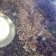 We Cottage บางแสน