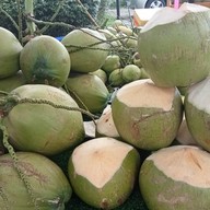 ราชาเห็ดป่า