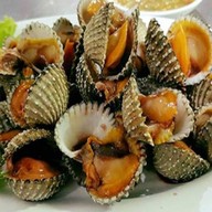 ตำหก นาเกลือ