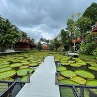 Ma Doo Bua Phuket