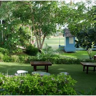 บรรยากาศ Blue Butterfly