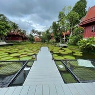 Ma Doo Bua Phuket