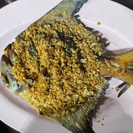 เมนูของร้าน อาหารป่าคลองครุ