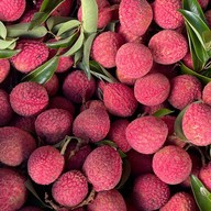 ป้านกแก้วผลไม้ซิ่ง - Nokkaew Fast Fruit สันป่าข่อย