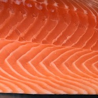 Salmon 651 พัฒนาการ51