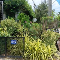 เมนู Gajib Bed & Breakfast -