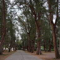 วัดท่าไทร