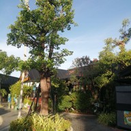 หน้าร้าน Café Amazon - DD3258 สถานีบริการ บจ.ไชยพิธารการพลังงาน