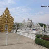 บรรยากาศ KruSrichan Coffee  @WhiteTemple Chiangrai .