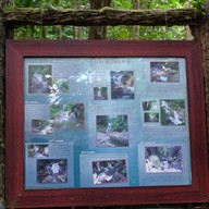 บรรยากาศ น้ำตกซีโป