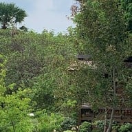 ภักดี ฟาร์ม