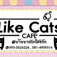 Like Cats cafe