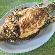 จามจุรีไก่แซ่บ