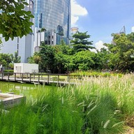 บรรยากาศ สวนปทุมวนานุรักษ์