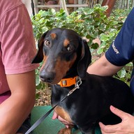 ไลท์ มินิท โฮม คาเฟ่ ไลท์ มินิท โฮม คาเฟ่