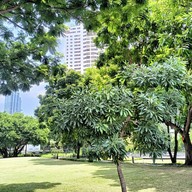 บรรยากาศ สวนปทุมวนานุรักษ์