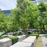 บรรยากาศ สวนปทุมวนานุรักษ์