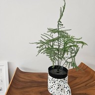 Betterbloom Cafe & Shop