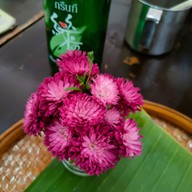 ก๋วยเตี๋ยวซุปกระดูกแม่โจ้ สาขา5