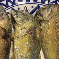 ป่นปลาทูแม่พร (คลองถมท้ายเมือง) คลองถมท้ายเมือง