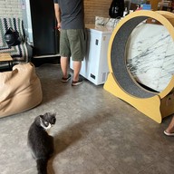 Cazz Cafe - แคซคาเฟ่ สุขุมวิท พระโขนง