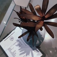 Mama Cafe Marche' Thonglor