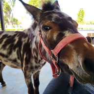 หน้าร้าน The Baroni Ranong