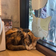 Cazz Cafe - แคซคาเฟ่ สุขุมวิท พระโขนง