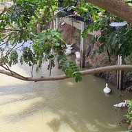 บรรยากาศ แซ่บบักแปดแสน สาขาซอยโรงเรียนบางโพธิ์เหนือ