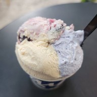Daylight Saving Gelateria อารีย์