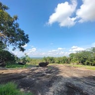 วัดพระพุทธบาทบัวบก