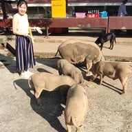 วัดพระพุทธบาทบัวบก