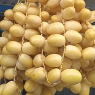 กระเพราหลังวัด byน้องฟูจิ