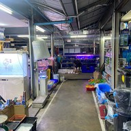 ตลาดปลาจตุจักร