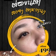 ดาวคิ้วสวย พิมาย