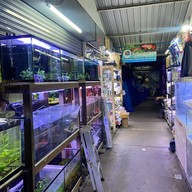 ตลาดปลาจตุจักร