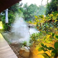 Jungle Jungle Eat And Meet