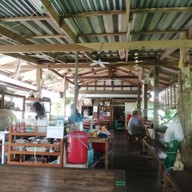บรรยากาศ หมี ข้าวพันผัก