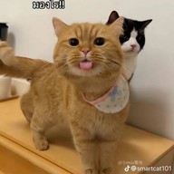 น้องเบียร์ศูนย์รวมอาหารอีสาน