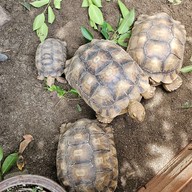 บรรยากาศ พอวา ฟาร์ม