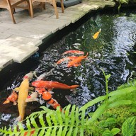 บรรยากาศ พอวา ฟาร์ม