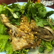 ต้วม หน่อย