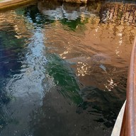 The Mall โคราช