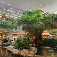 The Mall โคราช