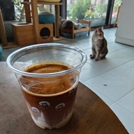 Nip Cafe  พหลโยธิน 2/1