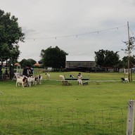 Barakat Lunlaland Cafe & Farm บารอกัต ลั้นลาแลนด์ -