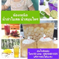 น้องเหนือ น้ำลำไยสด น้ำสมุนไพร ข้าวไข่เจียว