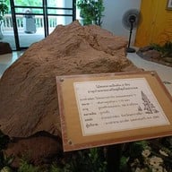 บรรยากาศ พิพิธภัณฑ์ไม้กลายเป็นหิน และทรัพยากรธรณี ภาคตะวันออกเฉียงเหนือ
