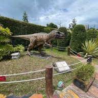 บรรยากาศ Amazing Dinosaur